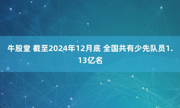 牛股堂 截至2024年12月底 全国共有少先队员1.13亿名
