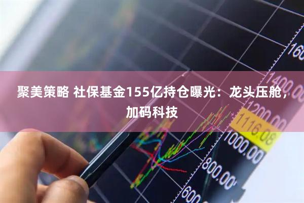 聚美策略 社保基金155亿持仓曝光：龙头压舱，加码科技