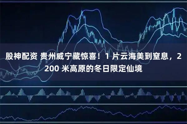 股神配资 贵州威宁藏惊喜！1 片云海美到窒息，2200 米高原的冬日限定仙境